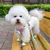 PetTribes Harnais Anti-Tirage Chien avec Noeud Papillon M PetTribes Harnais Anti-Tirage Chien avec Noeud Papillon M