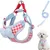 PetTribes Harnais Anti-Tirage Chien avec Noeud Papillon M PetTribes Harnais Anti-Tirage Chien avec Noeud Papillon M