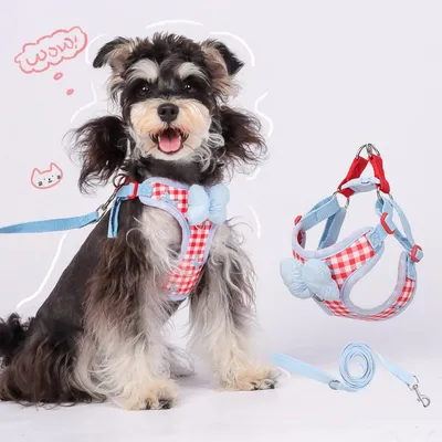 PetTribes Harnais Anti-Tirage Chien avec Noeud Papillon M PetTribes Harnais Anti-Tirage Chien avec Noeud Papillon M