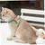 FurryFusion Zuggeschirr für Katzen und Hunde