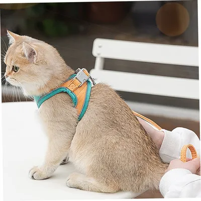 FurryFusion Zuggeschirr für Katzen und Hunde