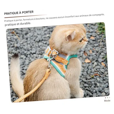 FurryFusion Zuggeschirr für Katzen und Hunde