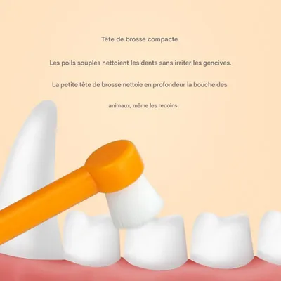 FurryFusion Brosses à dents pour chiens et chats FurryFusion Brosses à dents pour chiens et chats