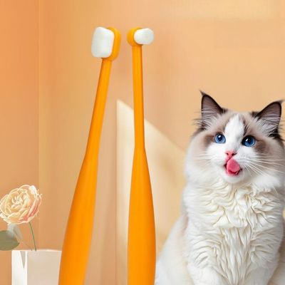 FurryFusion Brosses à dents pour chiens et chats