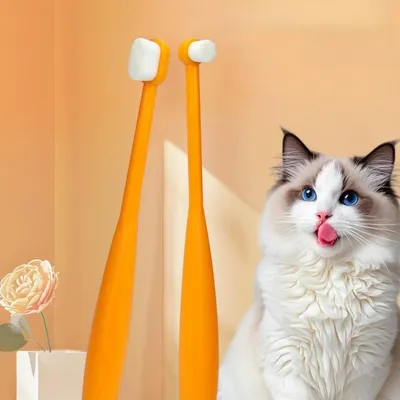 FurryFusion Brosses à dents pour chiens et chats FurryFusion Brosses à dents pour chiens et chats