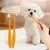 FurryFusion Brosses à dents pour chiens et chats FurryFusion Brosses à dents pour chiens et chats