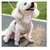 Verstellbares Anti-Auswurf-Hundegeschirr von FurryFusion Verstellbares Anti-Auswurf-Hundegeschirr von FurryFusion