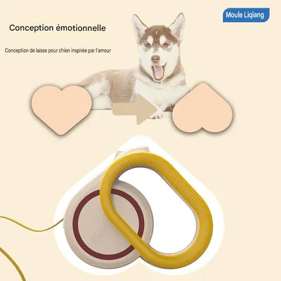 HausPets Corde de traction auto-rétractable pour chiens et chats
