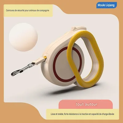 HausPets Corde de traction auto-rétractable pour chiens et chats