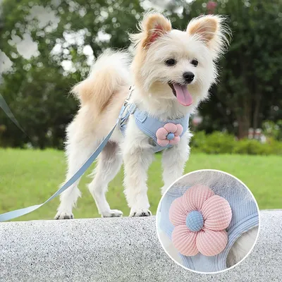FurryFusion Harnachement pour chiens de petite et moyenne taille FurryFusion Harnachement pour chiens de petite et moyenne taille