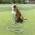 FurryFusion Corde de pour chiens de grande et moyenne taille FurryFusion Corde de pour chiens de grande et moyenne taille