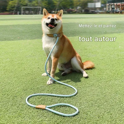 FurryFusion Corde de pour chiens de grande et moyenne taille FurryFusion Corde de pour chiens de grande et moyenne taille