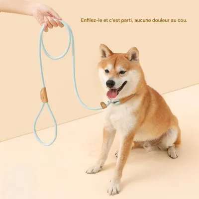 FurryFusion Corde de pour chiens de grande et moyenne taille FurryFusion Corde de pour chiens de grande et moyenne taille