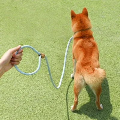 FurryFusion Corde de pour chiens de grande et moyenne taille FurryFusion Corde de pour chiens de grande et moyenne taille