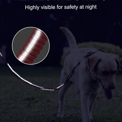 MCBOSON Rose Anti-Traction 3 Poignées Réfléchissante Laisse Élastique Chien