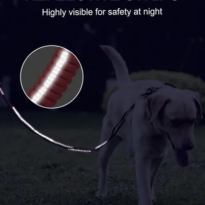 MCBOSON Rose Anti-Traction 3 Poignées Réfléchissante Laisse Élastique Chien MCBOSON Rose Anti-Traction 3 Poignées Réfléchissante Laisse Élastique Chien