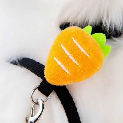 FurryFusion Rettichförmiges Laufseil für ultrakleine Hunde FurryFusion Rettichförmiges Laufseil für ultrakleine Hunde