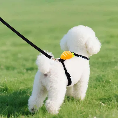 FurryFusion Rettichförmiges Laufseil für ultrakleine Hunde FurryFusion Rettichförmiges Laufseil für ultrakleine Hunde