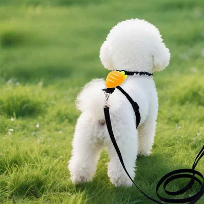 FurryFusion Rettichförmiges Laufseil für ultrakleine Hunde FurryFusion Rettichförmiges Laufseil für ultrakleine Hunde