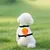 FurryFusion Rettichförmiges Laufseil für ultrakleine Hunde FurryFusion Rettichförmiges Laufseil für ultrakleine Hunde