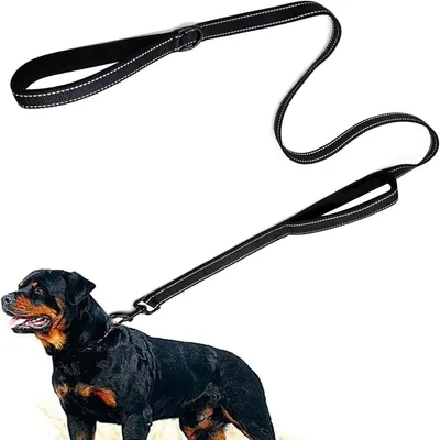 MCBOSON (1,5m Réfléchissante) Laisse Dressage Double Poignée 中文 MCBOSON (1,5m Réfléchissante) Laisse Dressage Double Poignée 中文