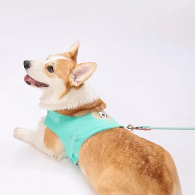 FurryFusion Anti-Würgegeschirr für kleine Hunde
