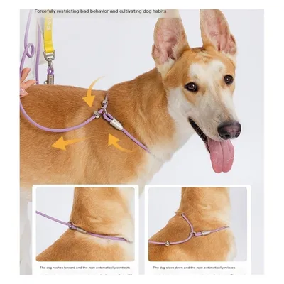 PetTribes Laisse Intégrale Antichoc PetTribes Laisse Intégrale Antichoc