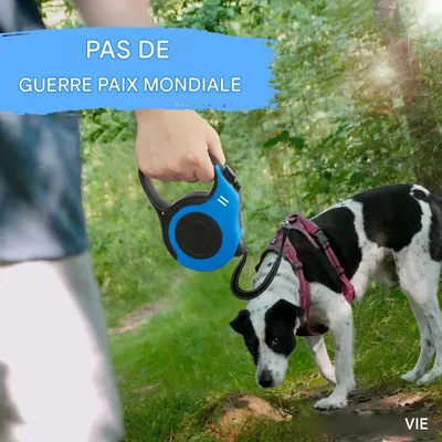 FurryFusion Automatische Rollleine für kleine Hunde FurryFusion Automatische Rollleine für kleine Hunde