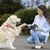 FurryFusion Laisse rétractable double pour chiens FurryFusion Laisse rétractable double pour chiens