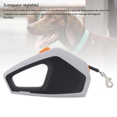 FurryFusion Laisse rétractable de 5m pour chiens et chats