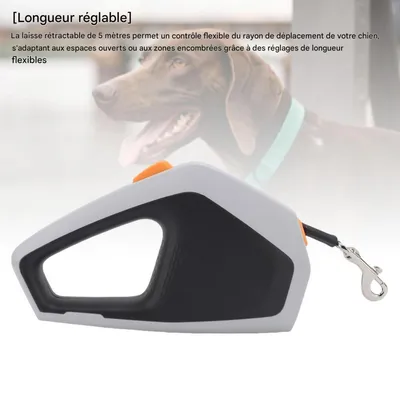 FurryFusion 5m Rollleine für Hunde und Katzen FurryFusion 5m Rollleine für Hunde und Katzen