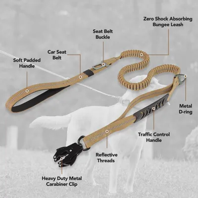 MCBOSON Laisse Élastique Chien Anti-Traction 4 poignées réfléchissante MCBOSON Laisse Élastique Chien Anti-Traction 4 poignées réfléchissante