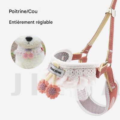 FurryFusion Harnachement et corde de traction pour chien et chat