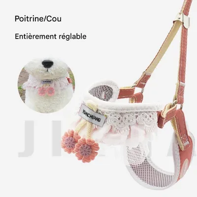 FurryFusion Harnachement et corde de traction pour chien et chat FurryFusion Harnachement et corde de traction pour chien et chat