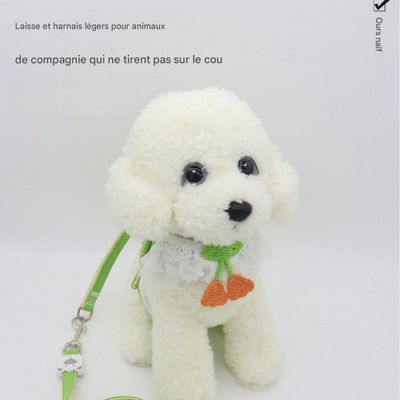 FurryFusion Corde de promenade réglable anti-déchirement pour animaux