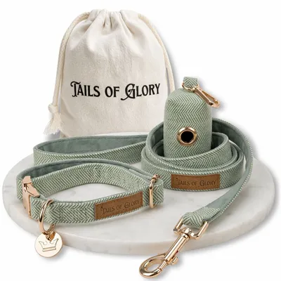 Tails of Glory Ensemble Promenade Chien 3 Pièces Tails of Glory Ensemble Promenade Chien 3 Pièces