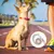 FurryFusion Laisse anti-poussée pour chiens FurryFusion Laisse anti-poussée pour chiens