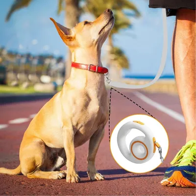 FurryFusion Laisse anti-poussée pour chiens FurryFusion Laisse anti-poussée pour chiens