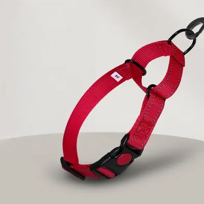 FurryFusion Corde de pour chien en nylon réfléchissant FurryFusion Corde de pour chien en nylon réfléchissant