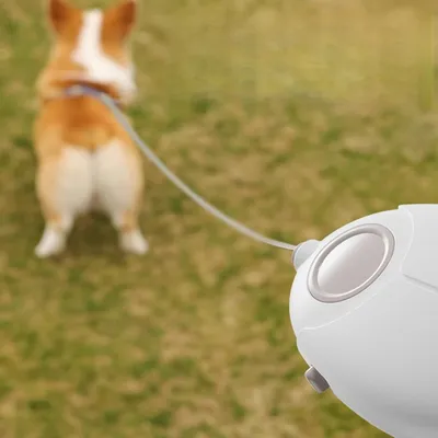 FurryFusion Selbstaufrollende Leine für Hunde und Katzen