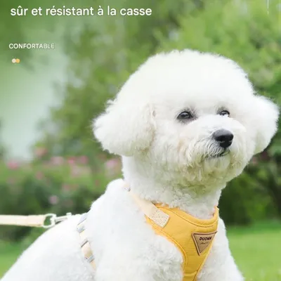 FurryFusion Rutschfestes Geschirr für kleine Hunde und Katzen FurryFusion Rutschfestes Geschirr für kleine Hunde und Katzen