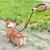 FurryFusion Corde de traction anti - bond pour chien FurryFusion Corde de traction anti - bond pour chien