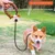FurryFusion Corde de traction anti - bond pour chien FurryFusion Corde de traction anti - bond pour chien
