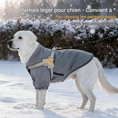 FurryFusion Harnais de traction en forme de selle pour chien