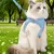 FurryFusion Harnachement réfléchissant et respirant pour chiens et chats