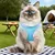 FurryFusion Harnachement réfléchissant et respirant pour chiens et chats