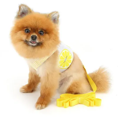 FurryFusion Gilet de traction avec poche pour chiens et chats FurryFusion Gilet de traction avec poche pour chiens et chats