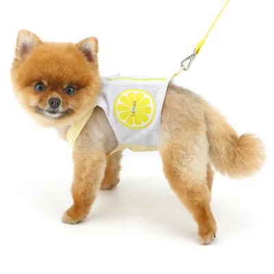FurryFusion Gilet de traction avec poche pour chiens et chats FurryFusion Gilet de traction avec poche pour chiens et chats