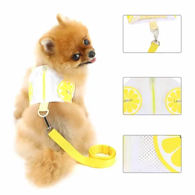 FurryFusion Gilet de traction avec poche pour chiens et chats FurryFusion Gilet de traction avec poche pour chiens et chats