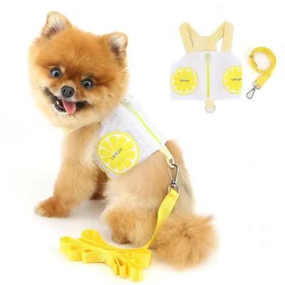 FurryFusion Gilet de traction avec poche pour chiens et chats FurryFusion Gilet de traction avec poche pour chiens et chats